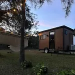 Minimalista En La Naturaleza